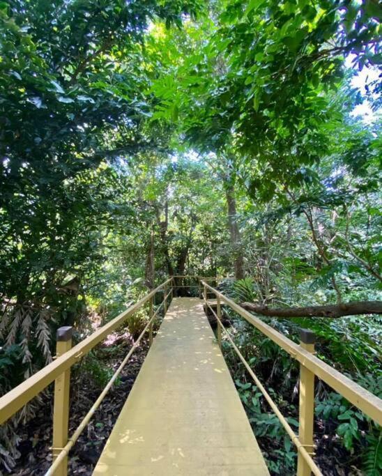 Beach Access + 3 Pools + Ocean Views - 2Br In Palmas - Sleeps 7 Apartment Humacao Luaran gambar